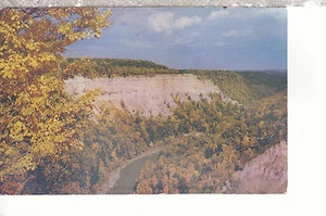 Postal 2187 de High Banks at Great Bend Genesee Gorge Letchfield Park NY - Imagen 1 de 2