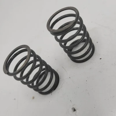 Molas de válvula Toro Recycler 22"/ Kohler XT650 6.5 HP 14 089 02-S - Imagem 1 de 3