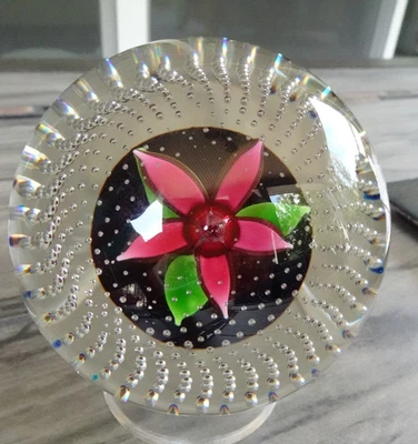 Pisapapeles LE Caithness Glass Scotland Flower in the Rain Bullicante Burbujas Foto 1 de 4