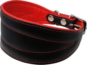Real Leather Extra Wide Padded Tapered Dog Collar Black/Red Whippet Dachshund - Picture 1 of 7