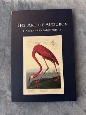 A Arte de Audubon, Dezesseis Impressões Emolduradas, Conjunto Completo de 16 Impressões - Imagem 1 de 3