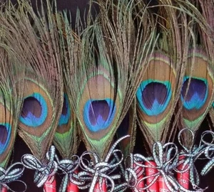10 Peacock Feather Pen Party,forParty,Sweet16,Bridal S,Mom GIft,Weddin Favors - Picture 1 of 9