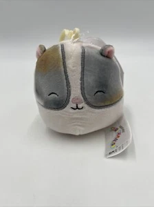 Squishmallows 3.5" Pax Hamster Soft Plush Clip New With Tags KellyToys #13 - Picture 1 of 8