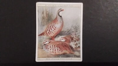 J. PLAYER. 1928. NO 13.  GAME BIRDS AND WILD FOWL,  RED  LEGGED  PARTRIDGE. - Image 1 of 2