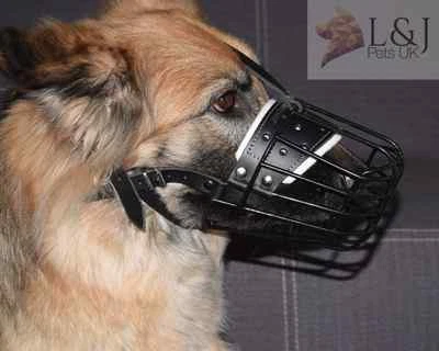 CHAMPION / L&J PETS UK Winter Metal Basket Muzzle | Antifreeze | German Shepherd , Labrador & Similar