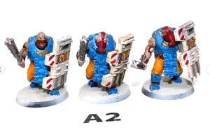 Warhammer Imperial Bullgryns A2 - Picture 1 of 1