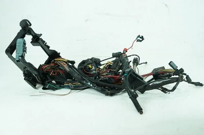 2010 Harley Sportster XL883N Iron OEM Main Wire Wiring Harness Loom 42879-10 Foto 1 de 4