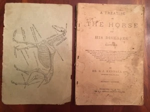 1880 Treatise HORSE Diseases, Kendall, Enosburgh Falls, VT, Lexington, VIRGINIA - Picture 1 of 4