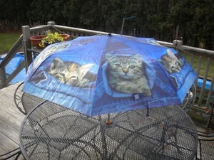 Umbrella Cats Wood Handle - Picture 1 of 2
