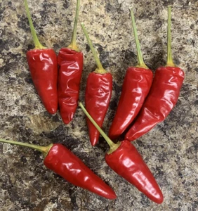 Pepper PAPRIKA MAGYAR Heirloom Spice Pepper Capiscum Non-GMO 25 Seeds! - Picture 1 of 5