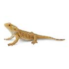 CollectA Bearded Dragon Lizard Toy Figure - Authentic Hand Painted Model Tan