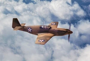 North American P-51A Mustang - 1942 - Promotional Photo Magnet - Picture 1 of 2