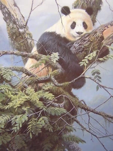 John Seerey-Lester Qinling Panda Signed Limited Edition Art Print - Picture 1 of 1