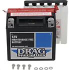 Drag Specialties 2113-0769 AGM Maintenance-Free Battery