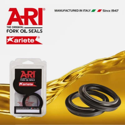 KIT PARAPOLVERE FORCELLA ARI119 ARIETE 43 X 54,4 X 4,6/14 Y CAP-DUCATI PANIGALE - Immagine 1 di 2