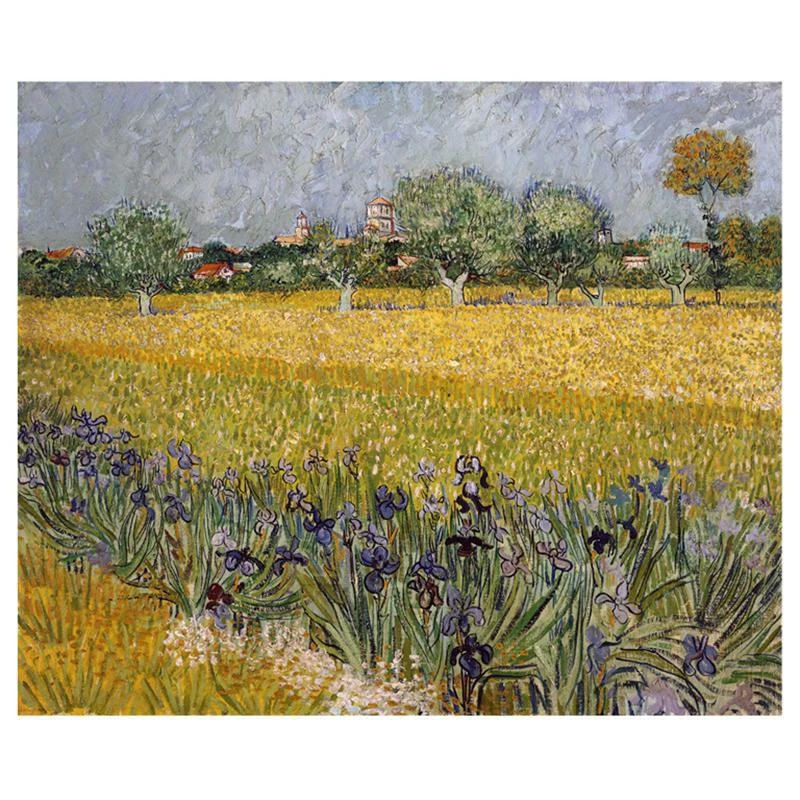 Van Gogh Gemälde Blick Von Arles Mit Schwertlilien IN Foreground - Bild 1 von 1