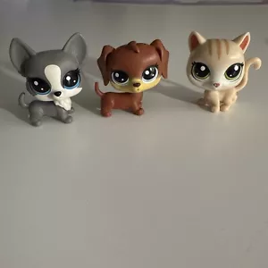Littlest Pet Shop Slugger Dackel Hund, Corgie, Katze Figur hungrige Haustiere - Bild 1 von 11