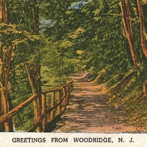 c.1935 Greetings From Woodridge New Jersey Forest Trail Road Postcard NJ Bergen - Picture 1 of 3