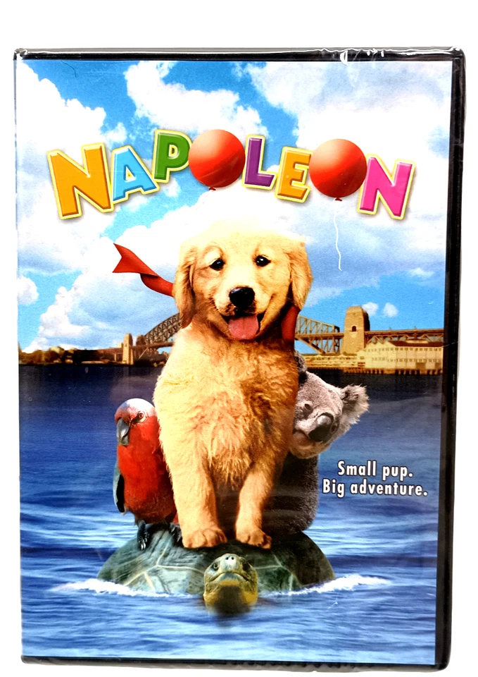 Napoleon - Small Pup. Big Adventure DVD 2021 - Image 1 of 1