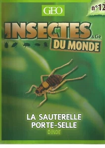 INSECTES & Cie DU MONDE N°12 - LA SAUTERELLE PORTE-SELLE D'INDE - Foto 1 di 2