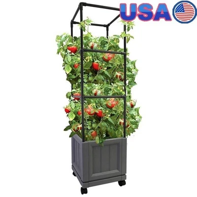 Cama de jardín elevada móvil con enrejado verduras hierbas y plantas trepadoras pizarra Foto 1 de 4