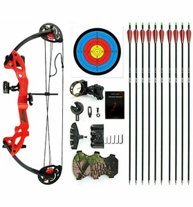 Compound Bow 15-29Lbs Right Hand Hunting Archery Target +16Pcs 30" Carbon Arrows - Picture 1 of 12