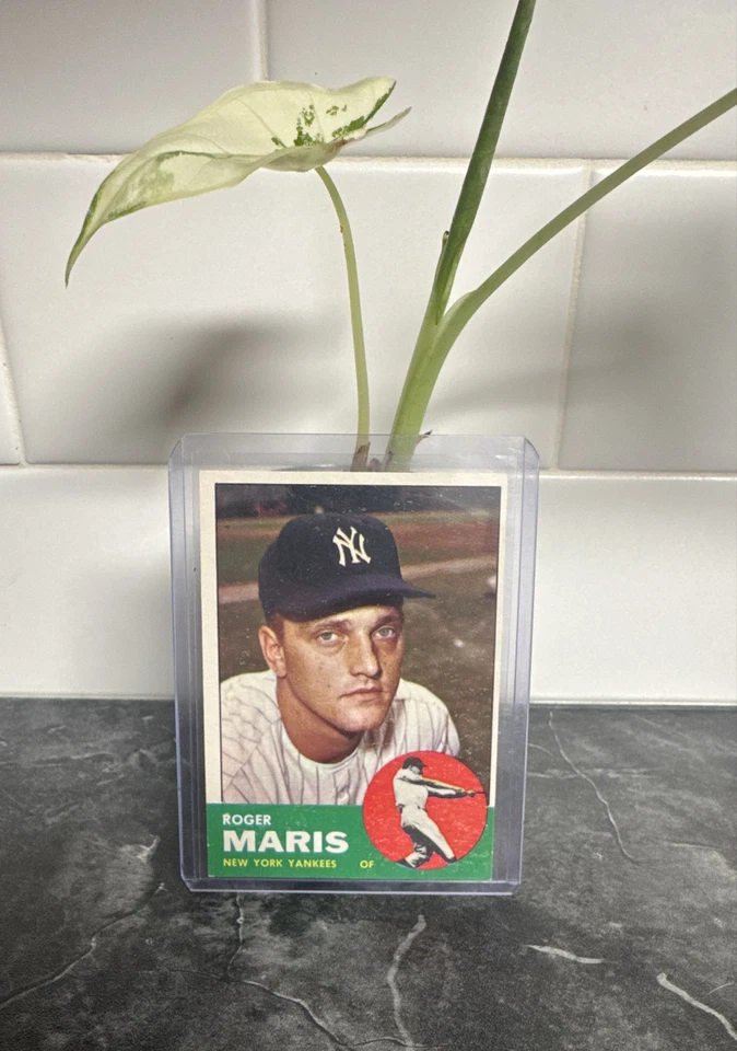 1963 Topps - Roger Maris #120 - Image 1 of 2