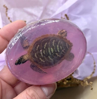 Kids Handmade Toy Sea Turtle Soap, Fun Bath Birthday Gift Boy Girl, Blue Green - Image 1 of 4