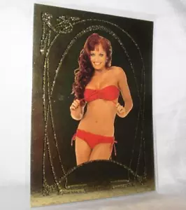 Christy Hemme Bench Warmer 2007 Gold Edition Base Card 34 - Picture 1 of 1