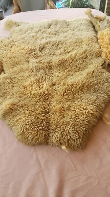 Corte bruto de pele de cor de mel - Imagem 1 de 4