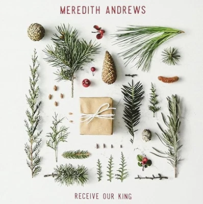 Meredith Andrews Meredith Andrews - Receive Our King (CD) - Bild 1 von 3