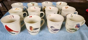 Menge 12 CJ Wildlife Vögel unbegrenzt Kaffeetassen Kleiber Kardinal Specht - Bild 1 von 13