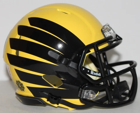 2022 Oregon Ducks Custom Riddell Mini Helmet vs Washington Cover