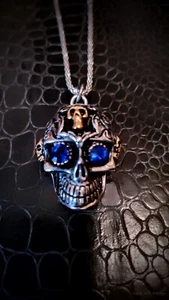 NEW 316L Stainless Steel SKULL w/BLUE Gemstone Eyes Necklace Chain FREE SHIPPING - Picture 1 of 5