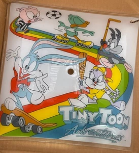 Vintage Looney Toons Tiny Toon Adventures New In Box Art Glass Light Shade Cover - Picture 1 of 24