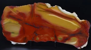 MOOKAITE Polished Slice, FOSSIL RADIOLARIAN Western Australia S520 - Bild 1 von 4