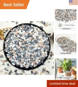 Versátiles piedras pulidas naturales de 2 lb para acuarios, terrarios y jardines - Imagen 1 de 8