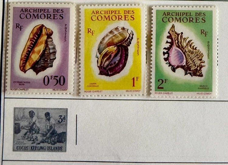 Lote de tres (3) Archipiélago de las Comoras/Sellos postales/Conchas marinas/MNH/OG Foto 1 de 1