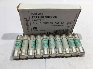 FERRAZ SHAWMUT MERSEN FR10AM69V6 6A 690V Fuse JPSF559 Pack of 1/5/10 - Picture 1 of 7