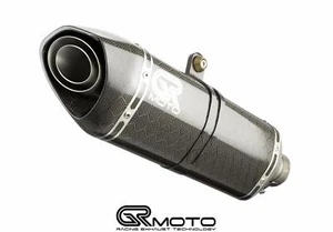 Exhaust for Suzuki GSX 1250 FA 2009-2016 GRmoto Carbon - Picture 1 of 3