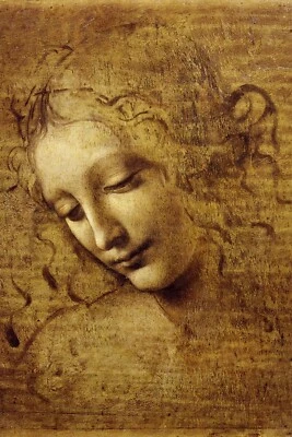 LEONARDO DA VINCI 4x6 GLOSSY PRINTED POSTCARD