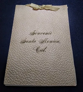 SOUVENIR SANTA MONICA CAL. Sea Grass In Folder With Related Poetry - Antique? - Picture 1 of 5