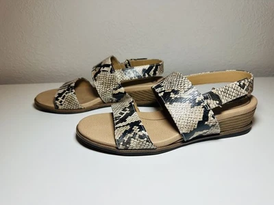 Sandálias de salto baixo DR. SCHOLLS Freeform marrom preto estampa de cobra animal TAMANHO 7,5M - Imagem 1 de 4