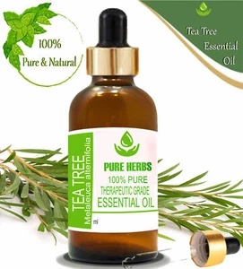 Olio essenziale di Melaleuca alternifolia puro e naturale alle erbe Tea Tree 100% - Foto 1 di 11
