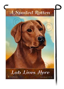 A Spoiled Rotten Red American Lab Lives Here - Picture 1 of 1