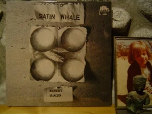 SATIN WHALE Desert Places LP/1974 Germany/Brain Records/Prog Rock/Krautrock - Picture 1 of 2