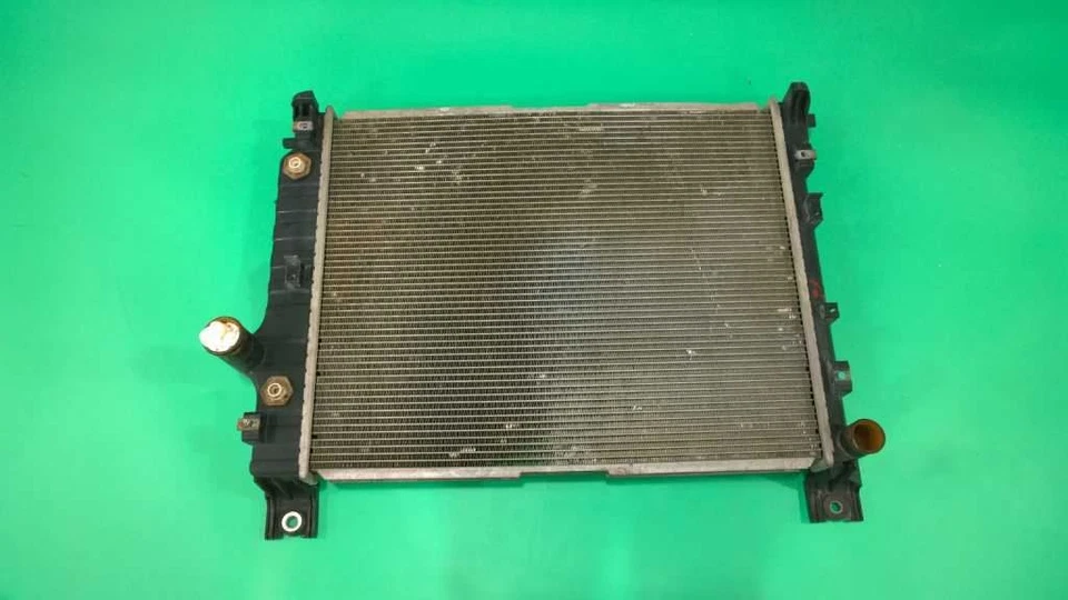 00 01 02 03 04 DODGE DAKOTA 3.9L MT RADIATOR OEM 2695-27 — 第 1/2 张图片