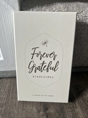 Carillón de viento agradecido cristal plateado grabado agradecimiento regalo agradecimiento Foto 1 de 4