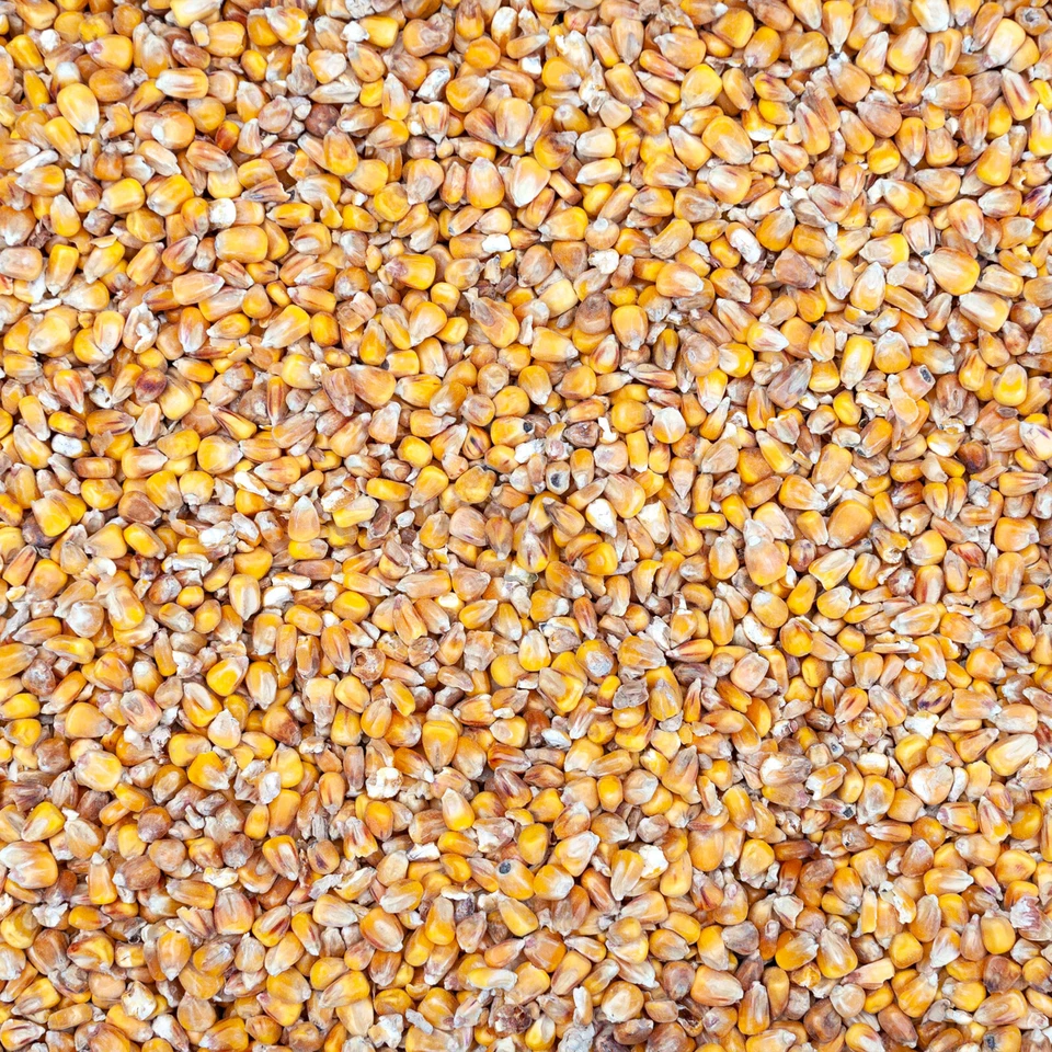 Futtermais Mais Hühner Tauben Geflügel Wild Futter Maiskörner 25 kg Hasen Nager - Bild 1 von 1