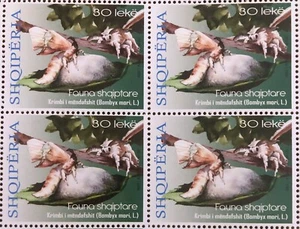 Albania Stamps 2023. FAUNA: Silkworm (Bombyx mori, L). Butterfly. Block of 4 MNH - Picture 1 of 1